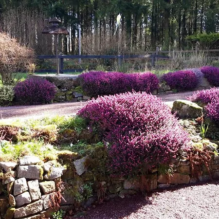 Affittacamere Le Petit Bois Normand