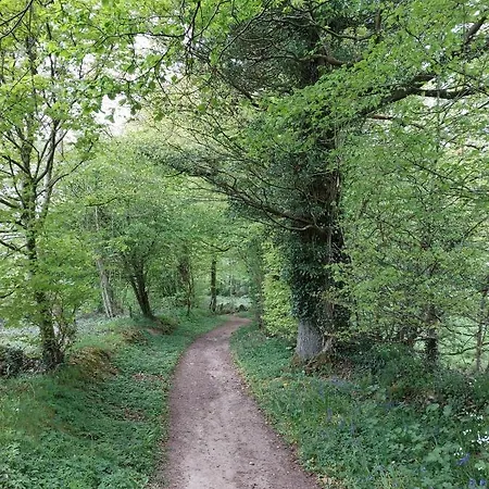 Affittacamere Le Petit Bois Normand