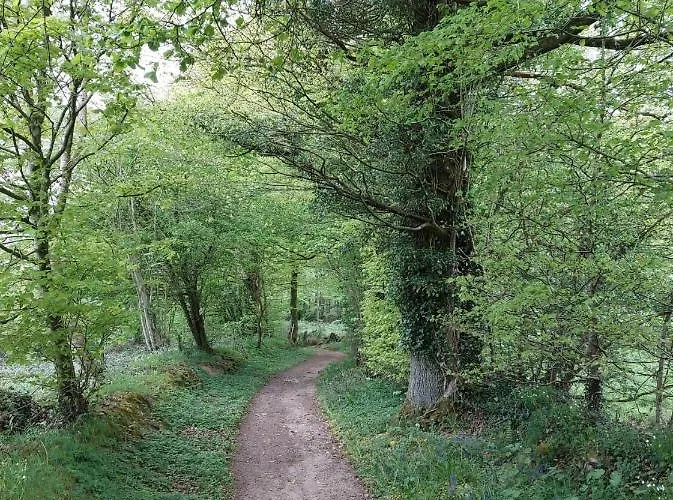 Maison d'hôtes Le Petit Bois Normand